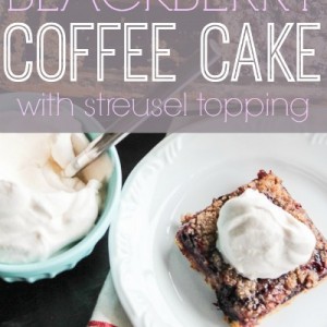 Blackberry Coffee Cake Small PIN