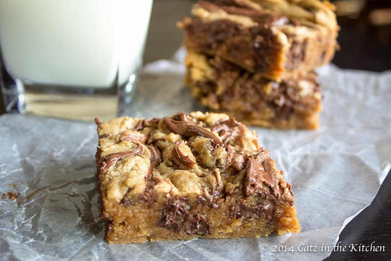 PEANUT BUTTER AND CHOCOLATE CHIP NUTELLA SWIRLED BLONDIES