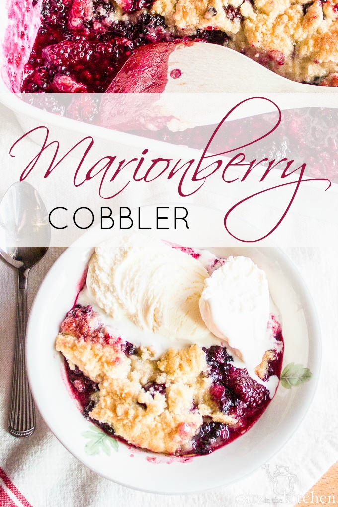 You Can’t Go Wrong with A Simple Berry Cobbler