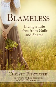 Blameless door Christy Fitzwater