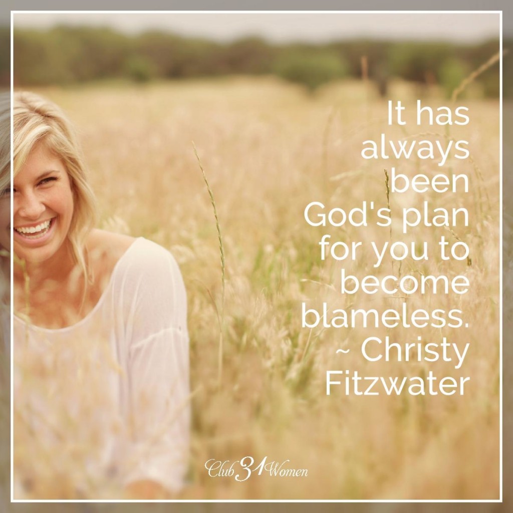 Blameless by Christy Fitzwater 5