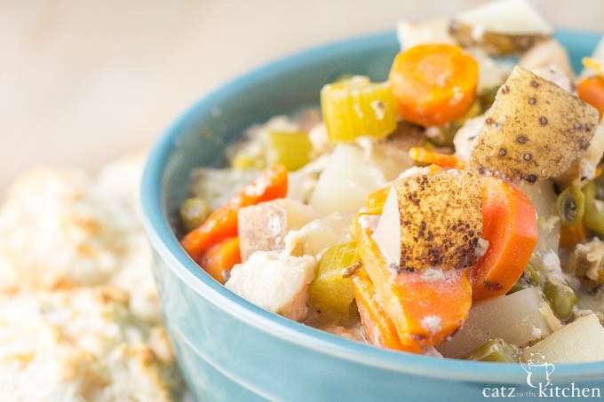 In need of some crockpot comfort food? This slow cooker creamy chicken stew recipe will fit the bill!