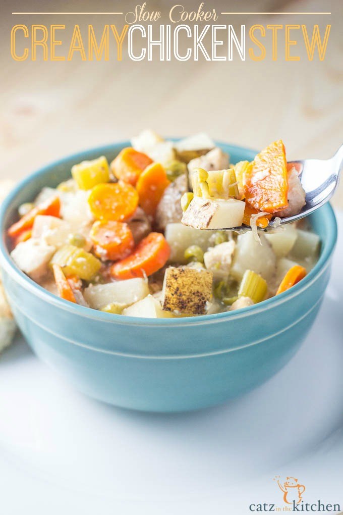 The cooler weather is creeping in and it's time for something yummy to keep you warm! Try this creamy chicken stew for an easy family meal!  via @Club31Women