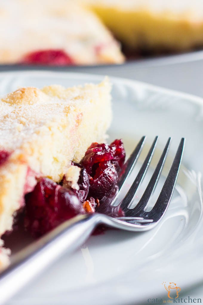 nantucket-cranberry-pie-7