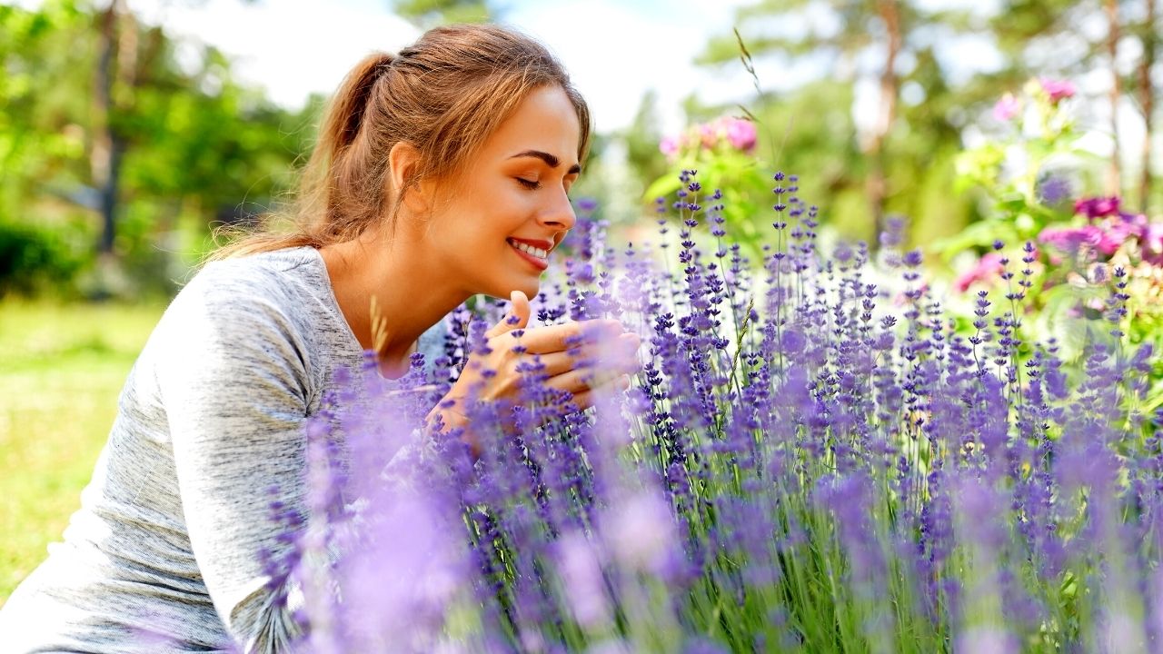 Seven Books Perfect for a Gardener’s Soul