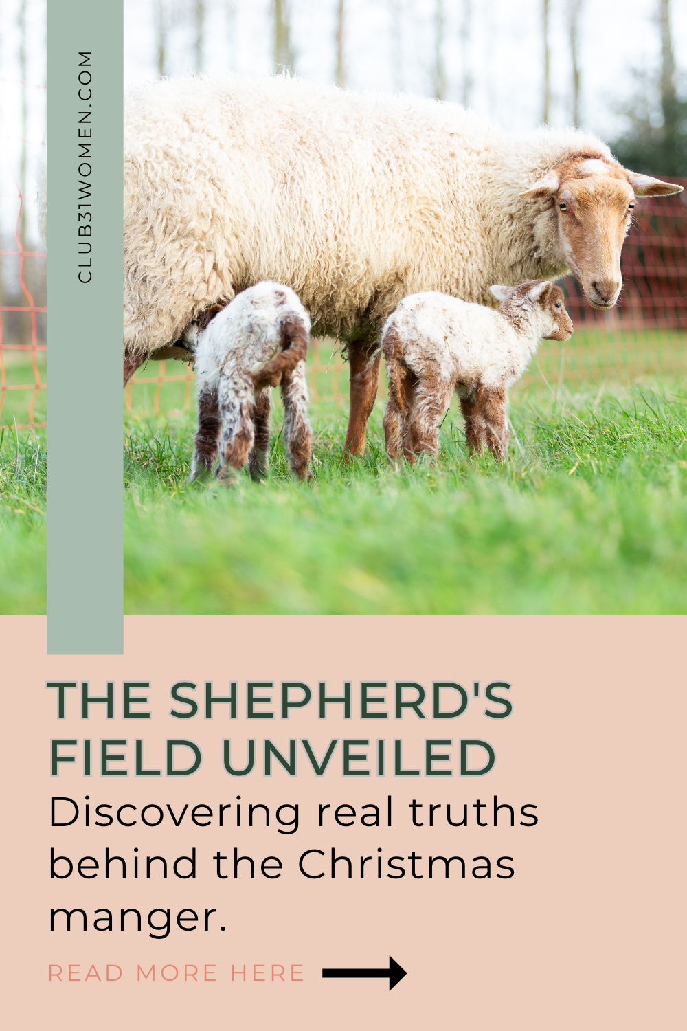 The Shepherd’s Field Unveiled: Rediscovering Deeper Christmas Truths via @Club31Women