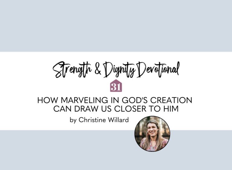 Blue background on the Strength & Dignity Devotional with text overlay, "How marveling in God's Creation can draw us nearer to Him, from Christine Willard on Club31Women