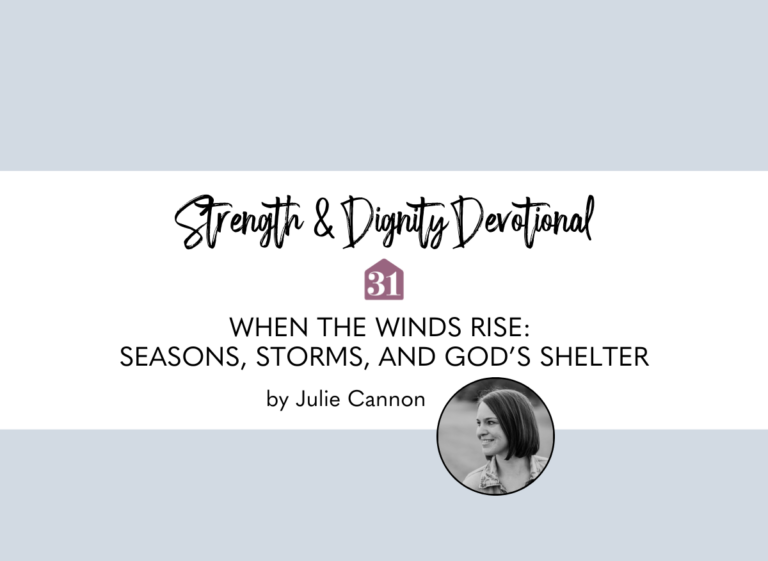 light blue background with text overlay, "When the Winds Rise Seasons, Storms, and God’s Shelter" from author Julie Cannon from the Club31Women devotional