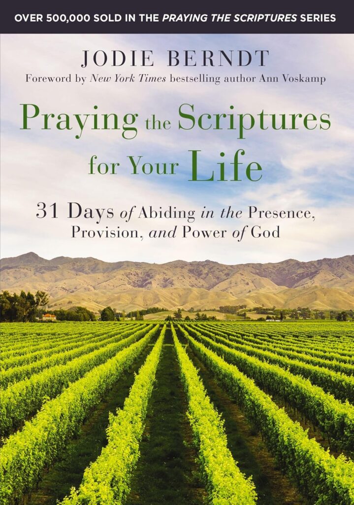 Jodie Berndt's book Praying the Scriptures for your Life