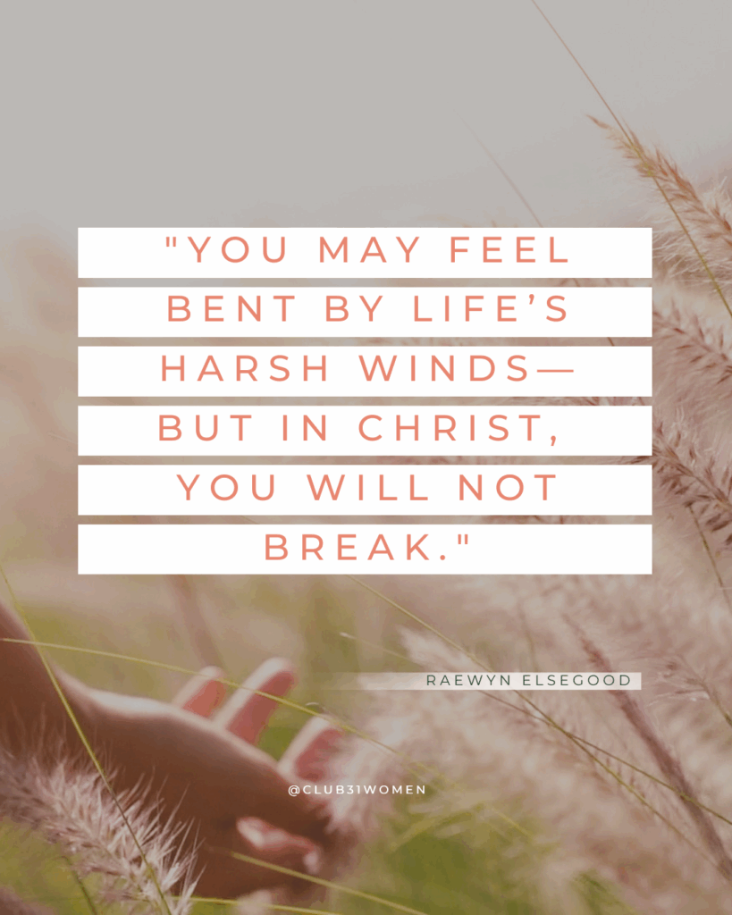 wheat field background with a woman's hand and text overlay from Raewyn Elsegood, "You may feel bent by life’s harsh winds— but in Christ, you will not break." on Club31Women devotional called Strength & Dignity
