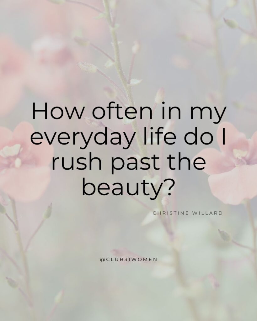 delicate flower  background and text overlay, "How often in my everyday life do I rush past the beauty?" on the Club31Women devotional from Christine Willard