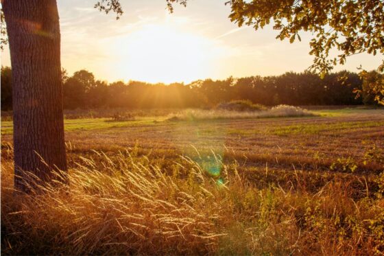 Tormented by Sin but Forgiven at Last