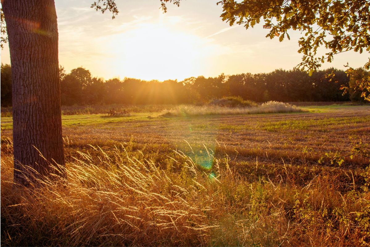 Tormented by Sin but Forgiven at Last