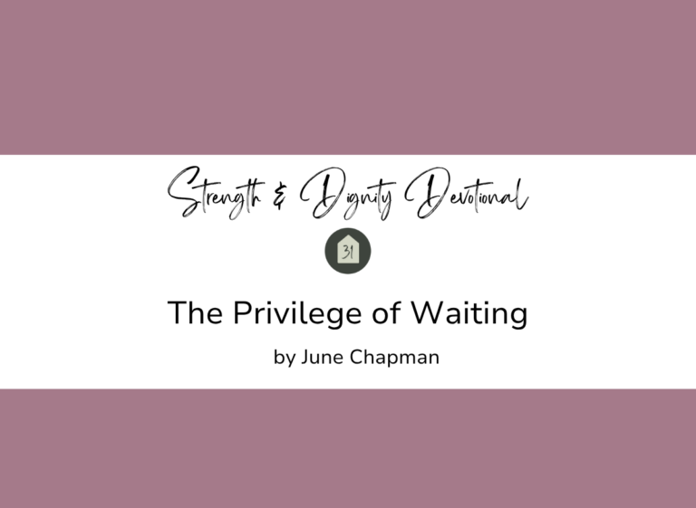 A vet waiting room and Noah's ark reveal how patient waiting on God is a gift of preparation, not a delay to endure.