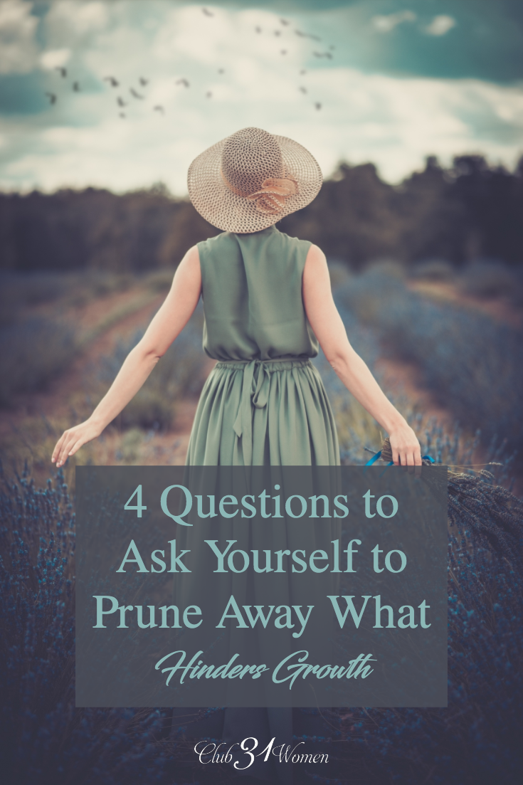 When you feel stuck here are some questions to ask yourself so God will prune away the not-so-great stuff, and we will begin to see fruit stem up from it.  via @Club31Women