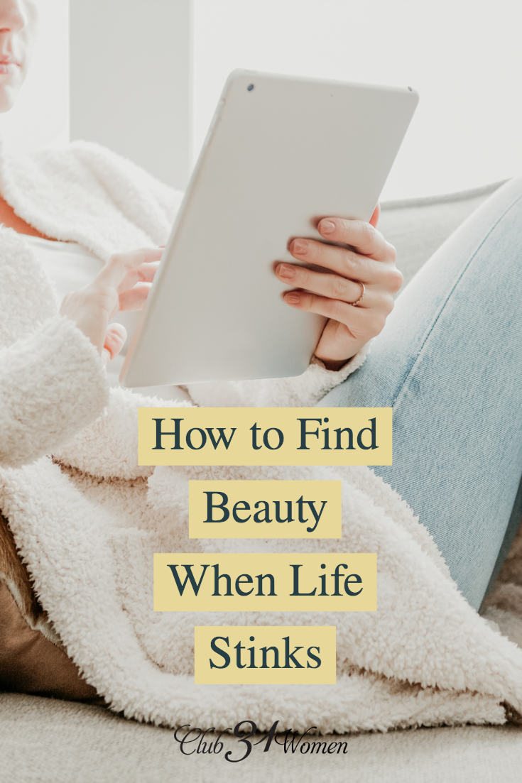 It can be so difficult to find beauty in the midst of pain and when life gets hard. How can we focus our thoughts on the lovely and goodness of God? via @Club31Women