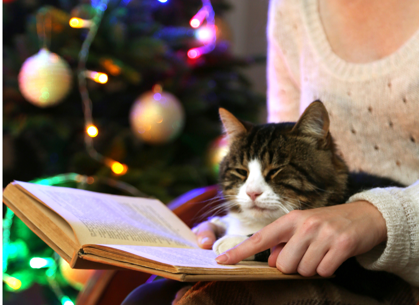 Christmas Christian Fiction That Will Warm Your Heart